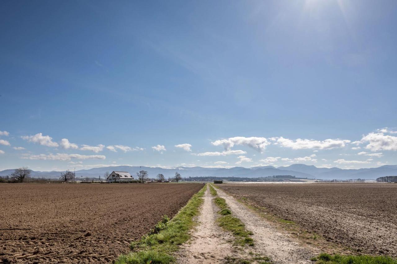 Appartamento Dreilaendereck Hartheim Esterno foto